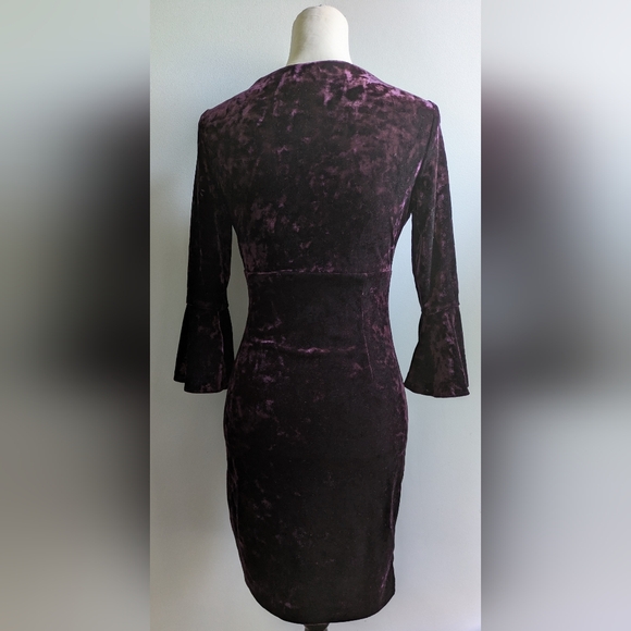 EUC....Ralph Lauren Crushed Velvet Bell Sleeve Dress in Rich Purple Size 4P - Picture 7 of 8